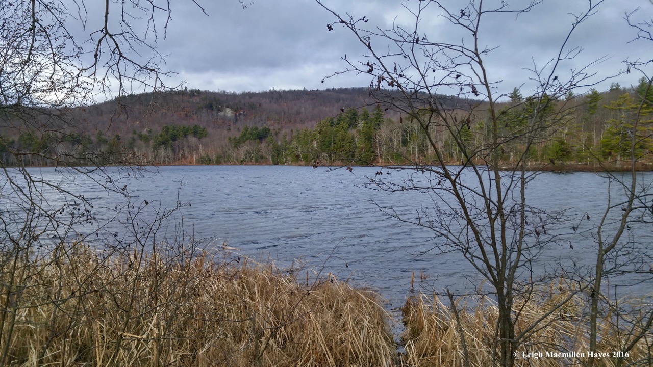 s-pond-at-end-of-day-1