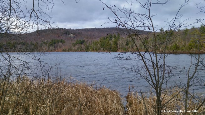 s-pond-at-end-of-day-1