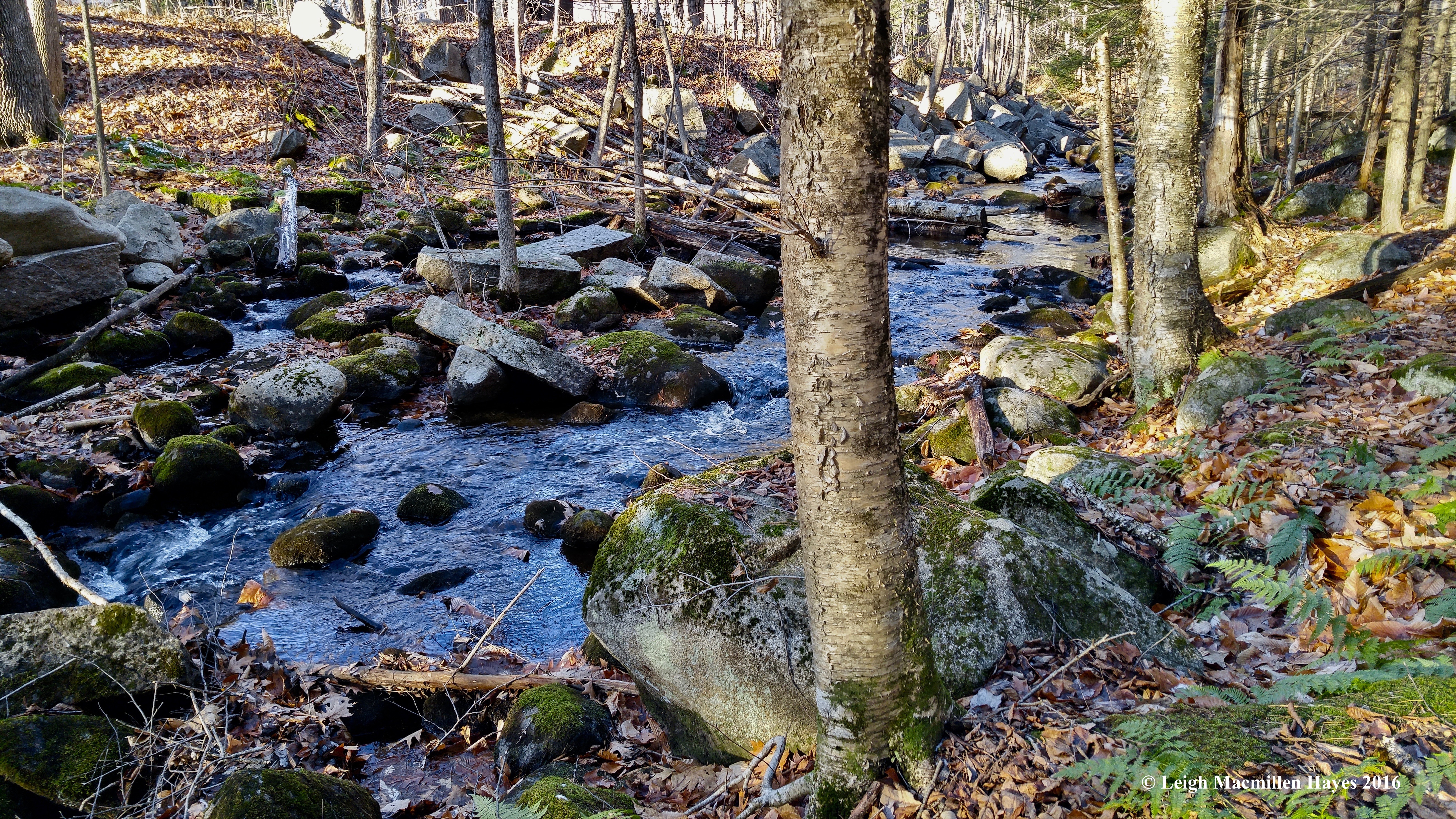 w-city-brook-large-rocks-1