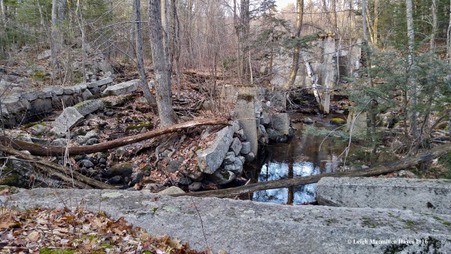 w-sluice-and-old-dam-2-1