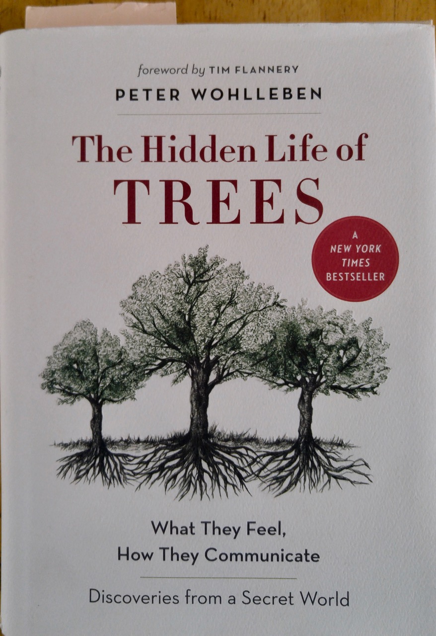 b-hidden-life-of-trees-1