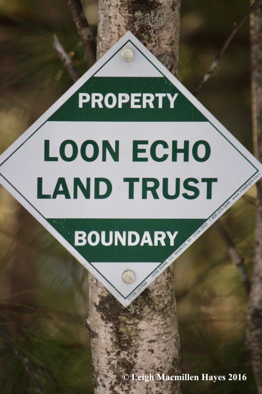 p-land-trust-boundary