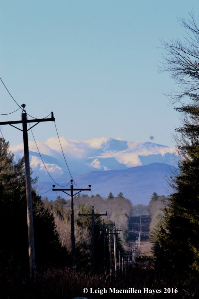s-mt-washpowerline