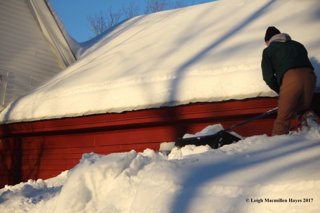 h-roof-shoveling