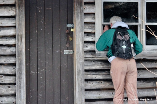 j-cabin-anybody-home