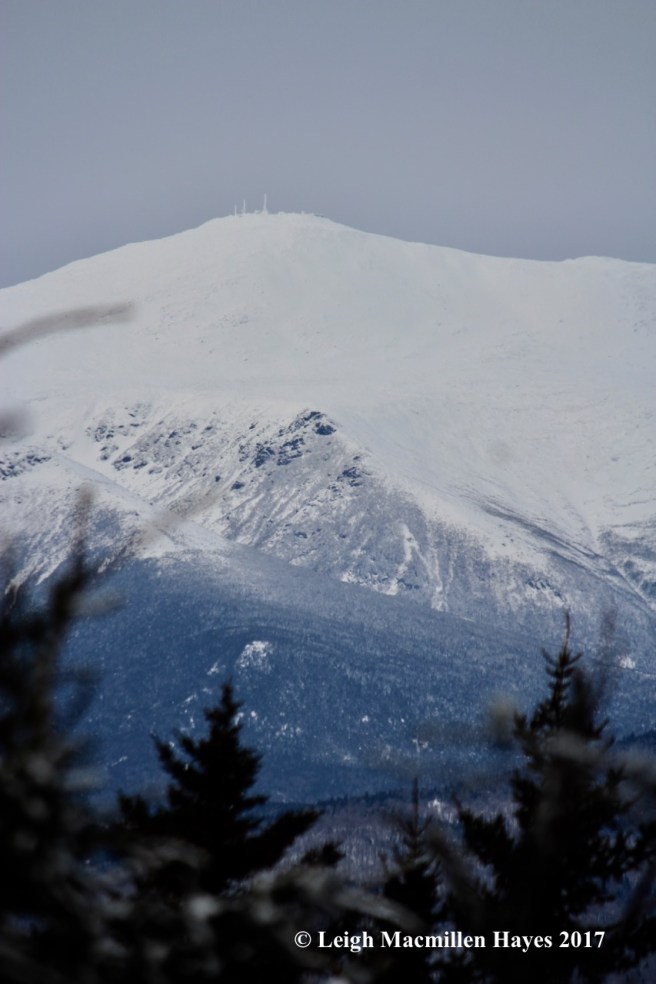 j-cabin-view-rime-ice