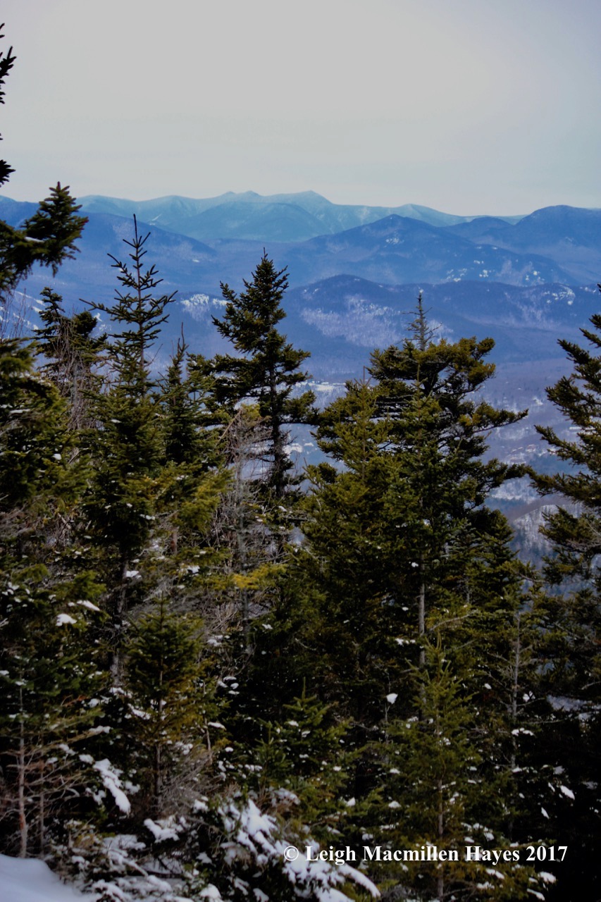 j-looking-south-view