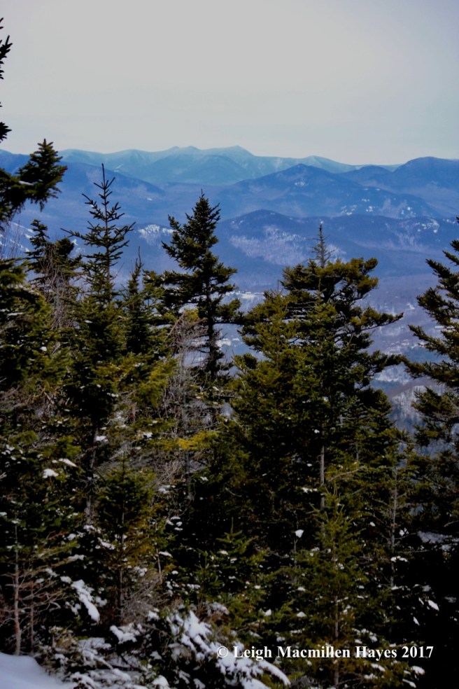 j-looking-south-view