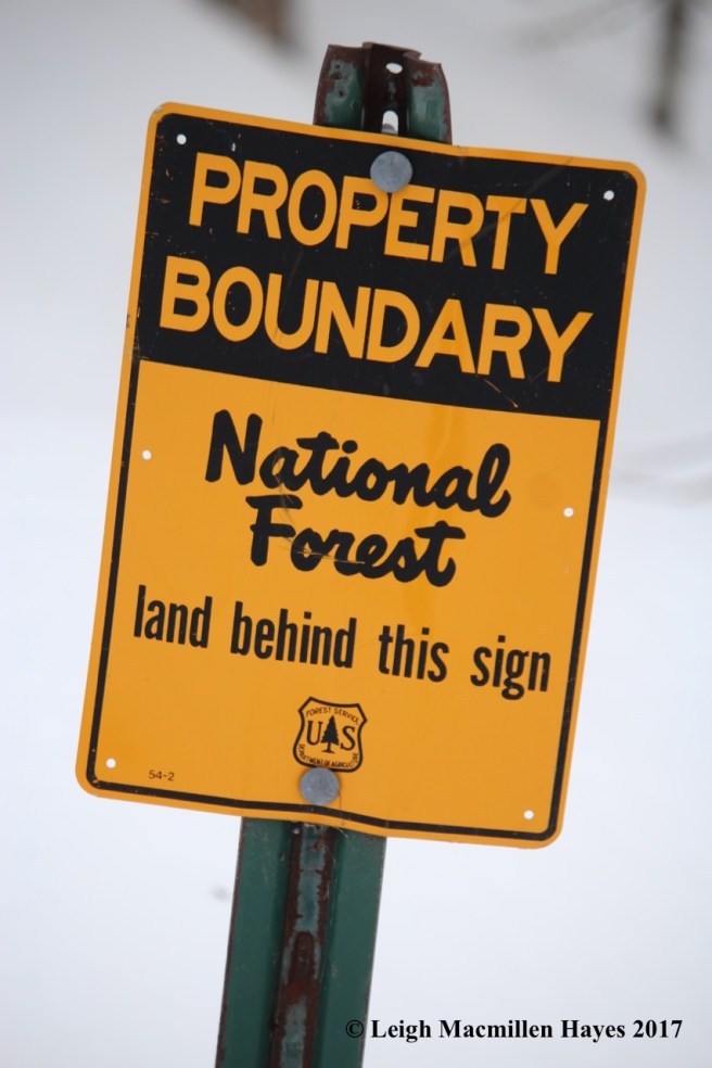 j-national-forest-sign