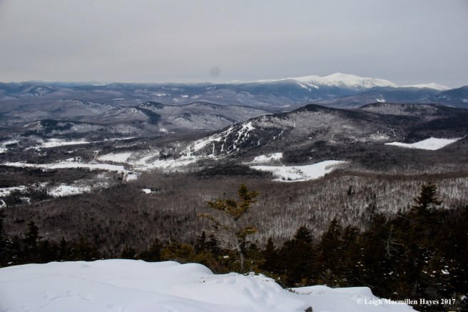 j-south-doublehead-view