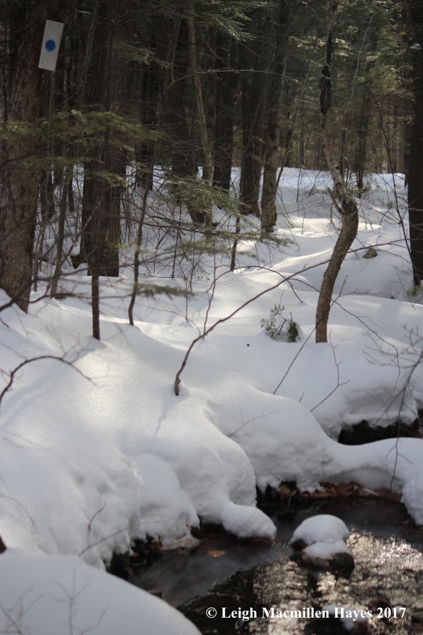 r-stream-crossing-at-end