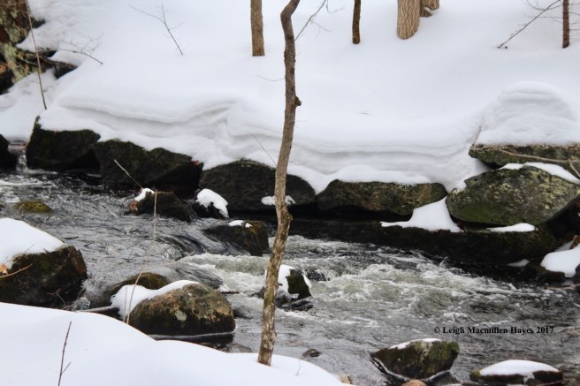 w-snow-layers-brookside