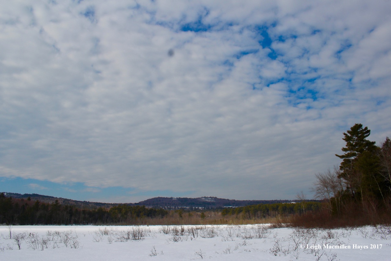 h-holt-pond-and-bear-trap