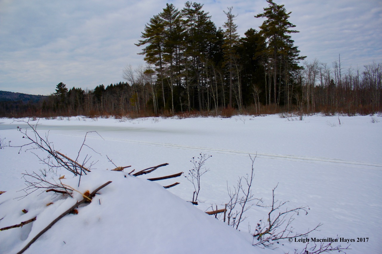 h-muddy-river-from-lodge