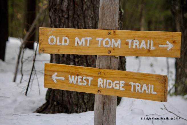 m21-trail-signs-at-intersection