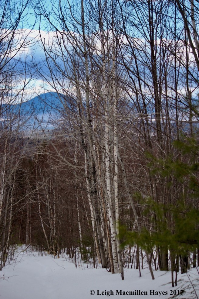 m23-mount-kearsarge-in-view