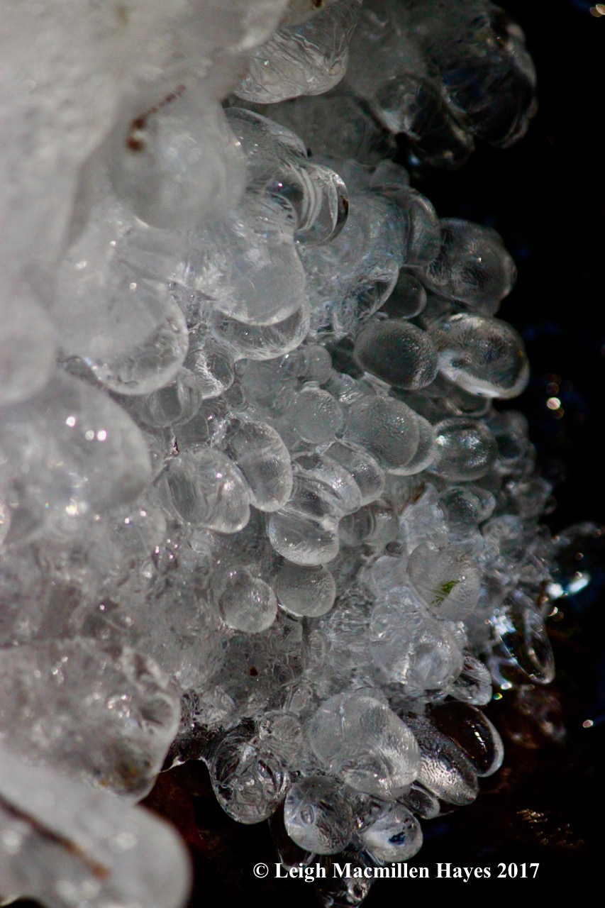 s-ice-bubbles