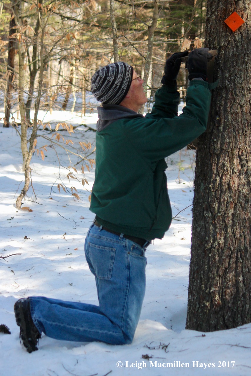 s-kneeling-before-map