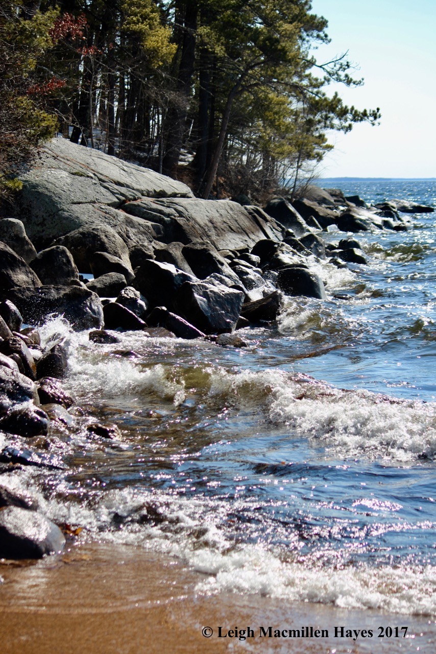 s-rocky-coast-of-maine