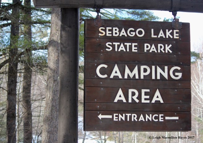 s-sebago-sign
