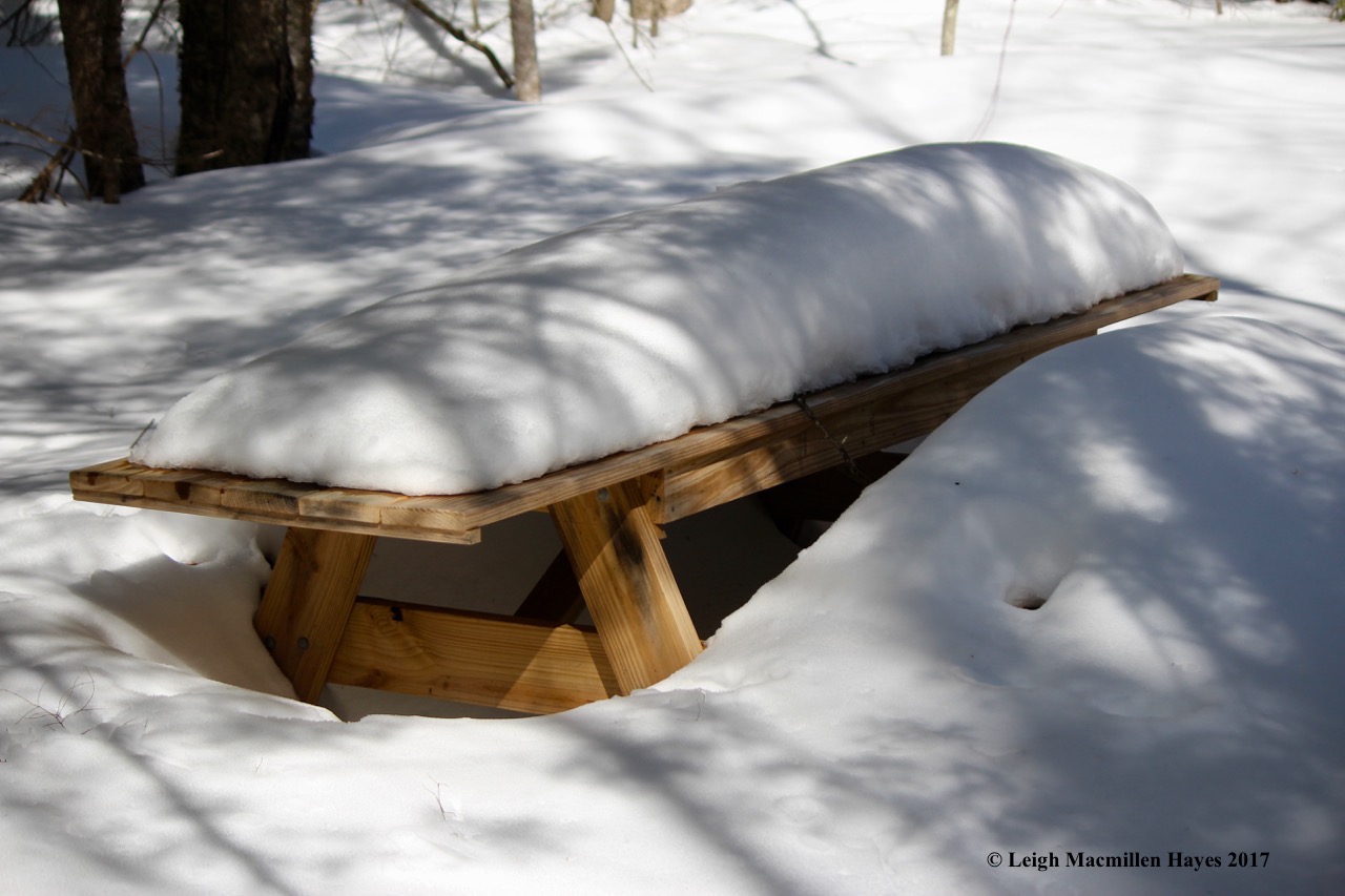 a-picnic table