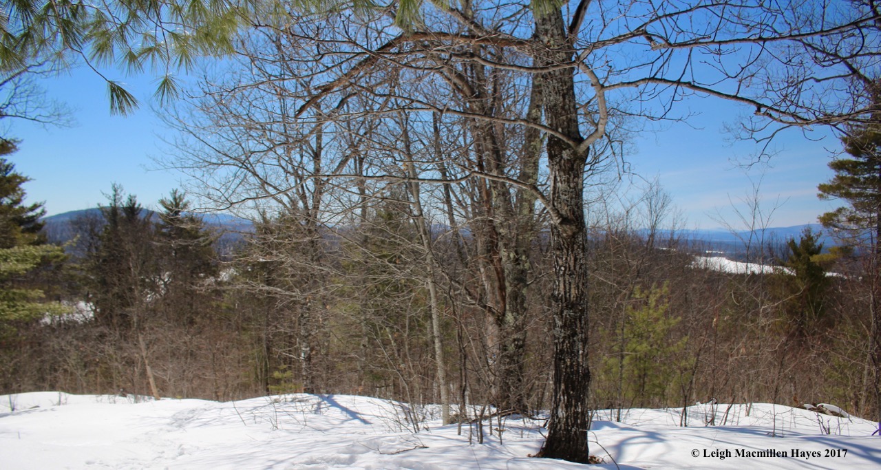 a-summit view of two lakes