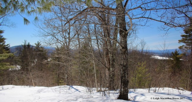 a-summit view of two lakes