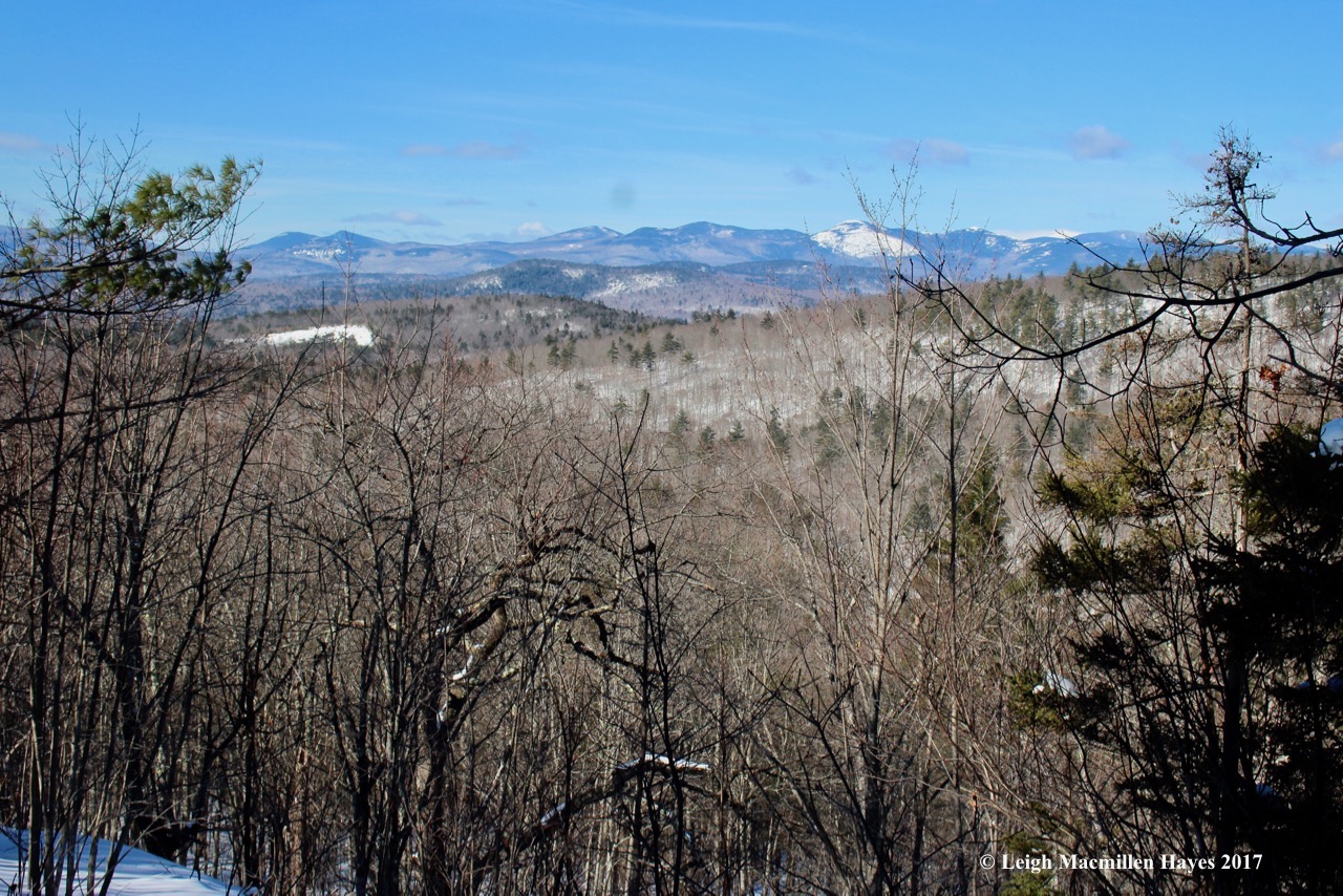 f-view from Flat Hill