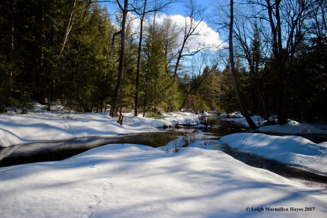 h-beaver-brook-below-dam