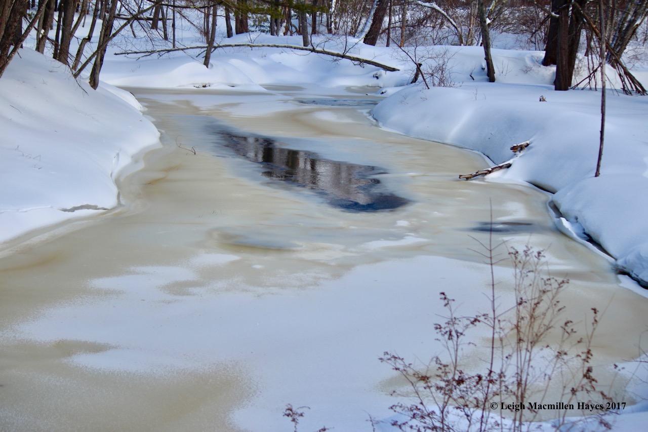 p-willet brook from bench site