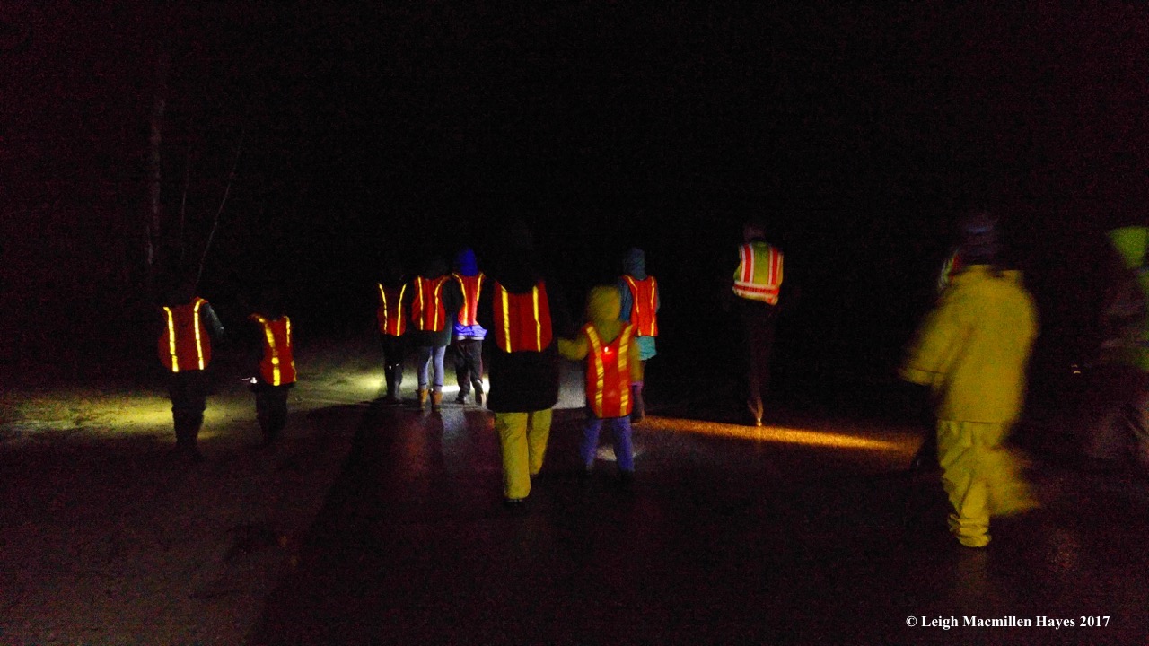 h-Big Night Patrol 3 (1)