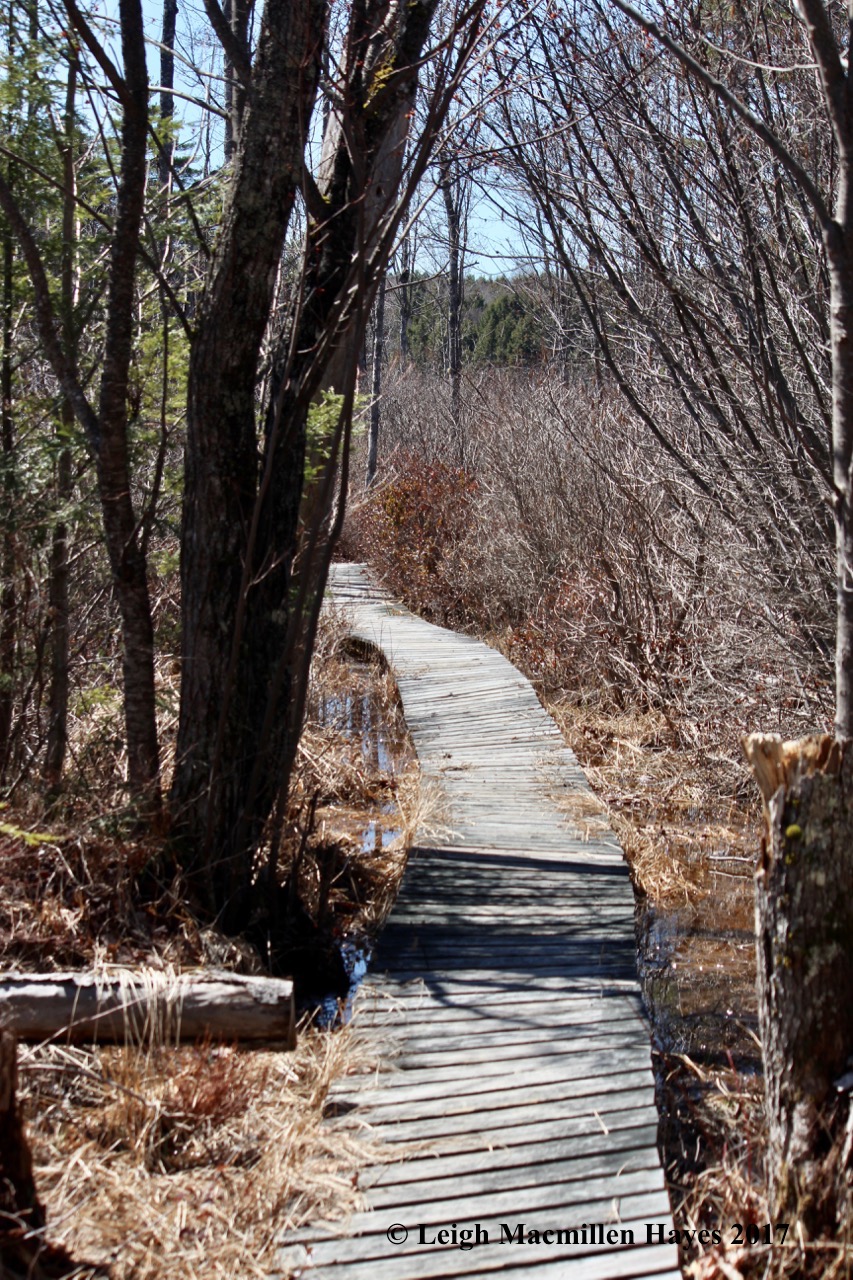 h-board walk-first section