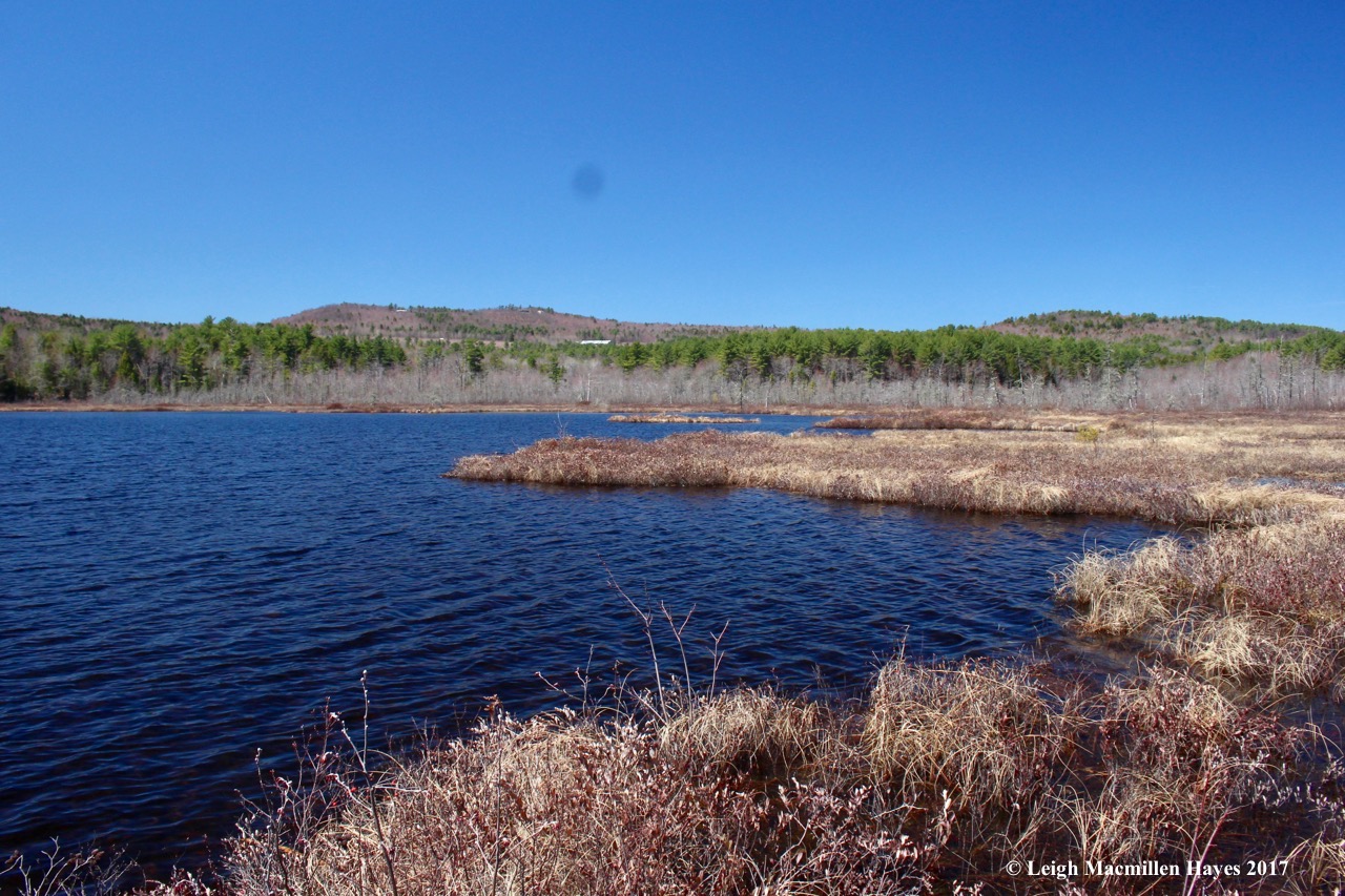 h-Holt Pond to Five Fields