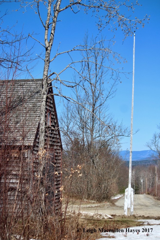 n-shop and flagpole