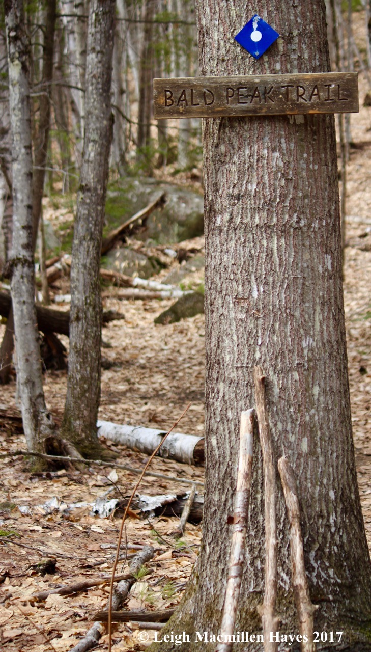 p-bald peak trail