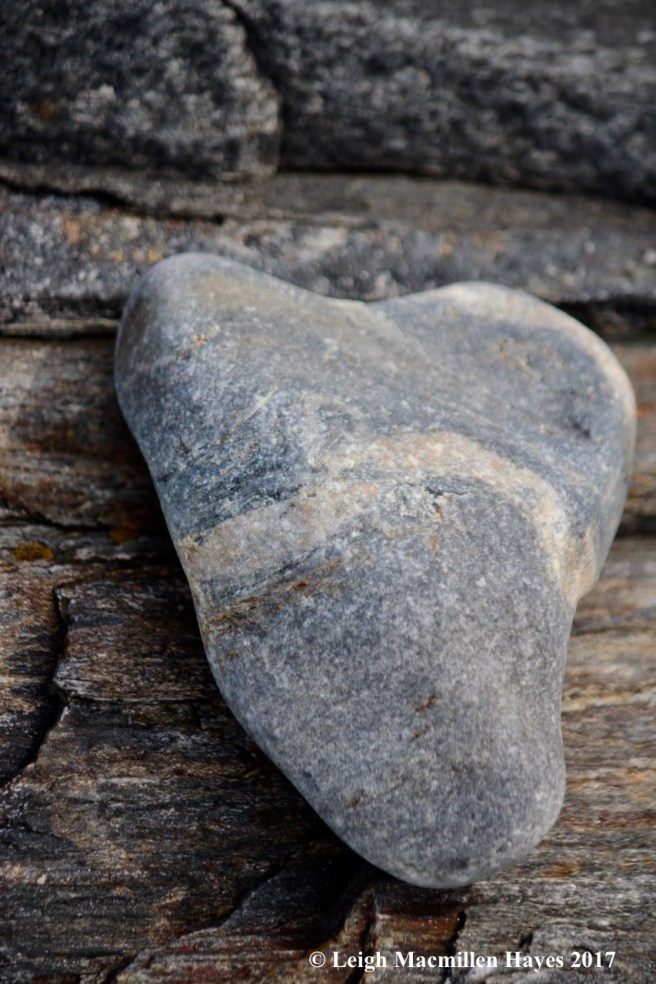 p-heart 2, getting closer