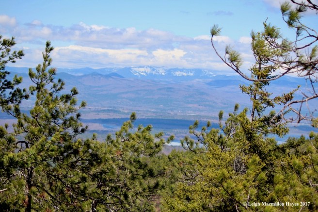p-Mt Wash from top of Bald Peak Trail