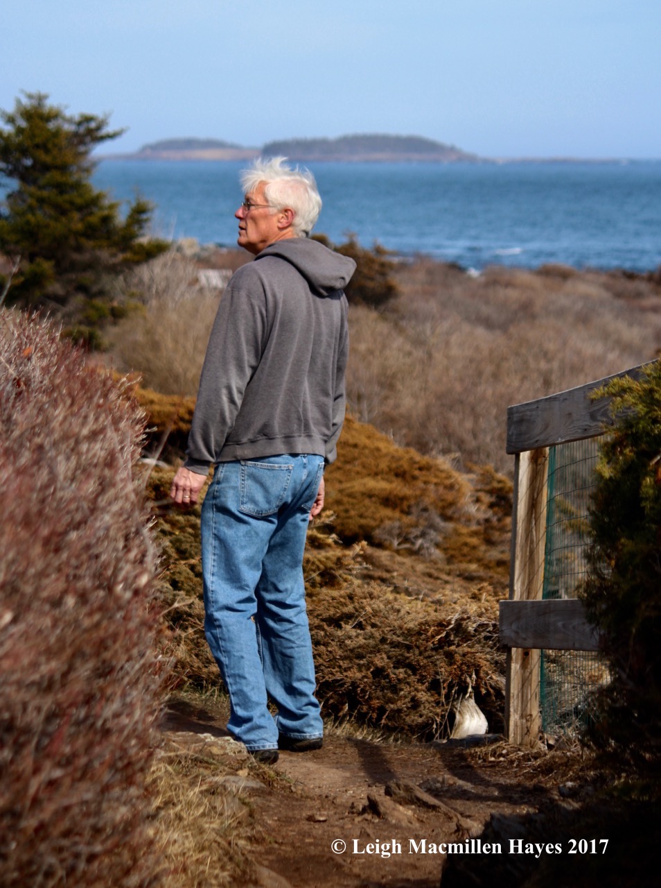 p-oogling the cottages