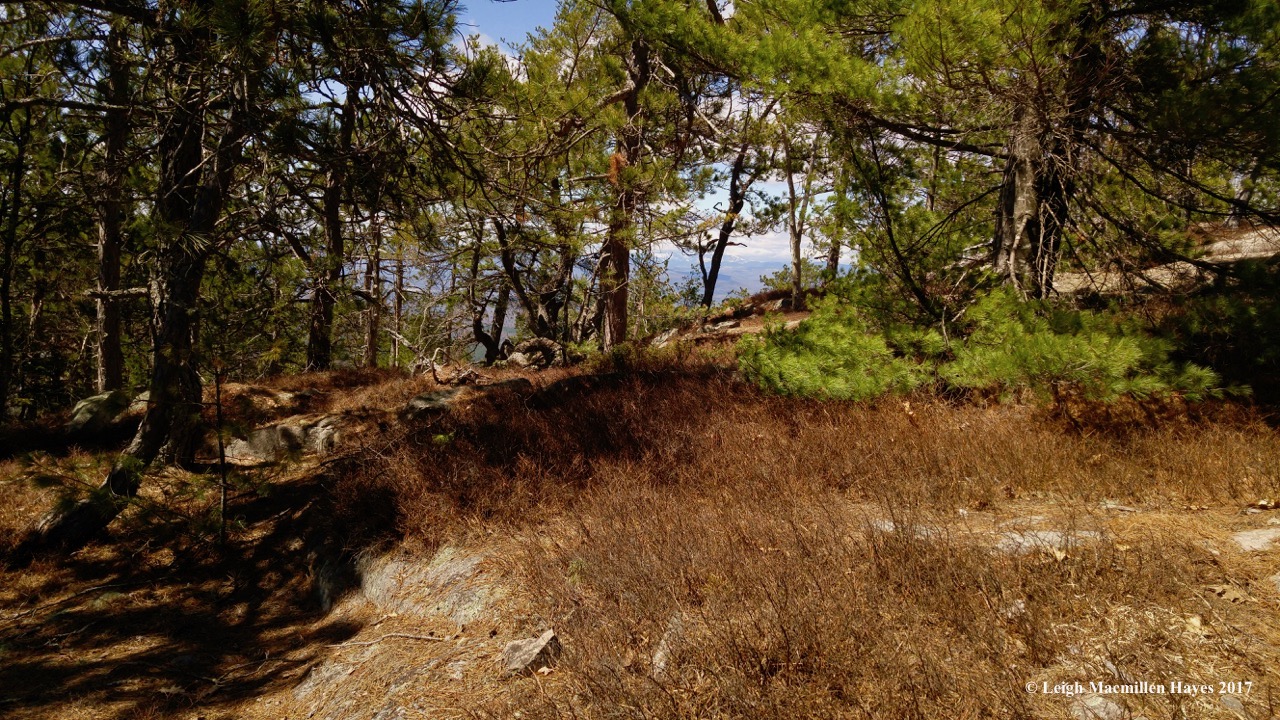 p-view from lunch rock 2 (1)