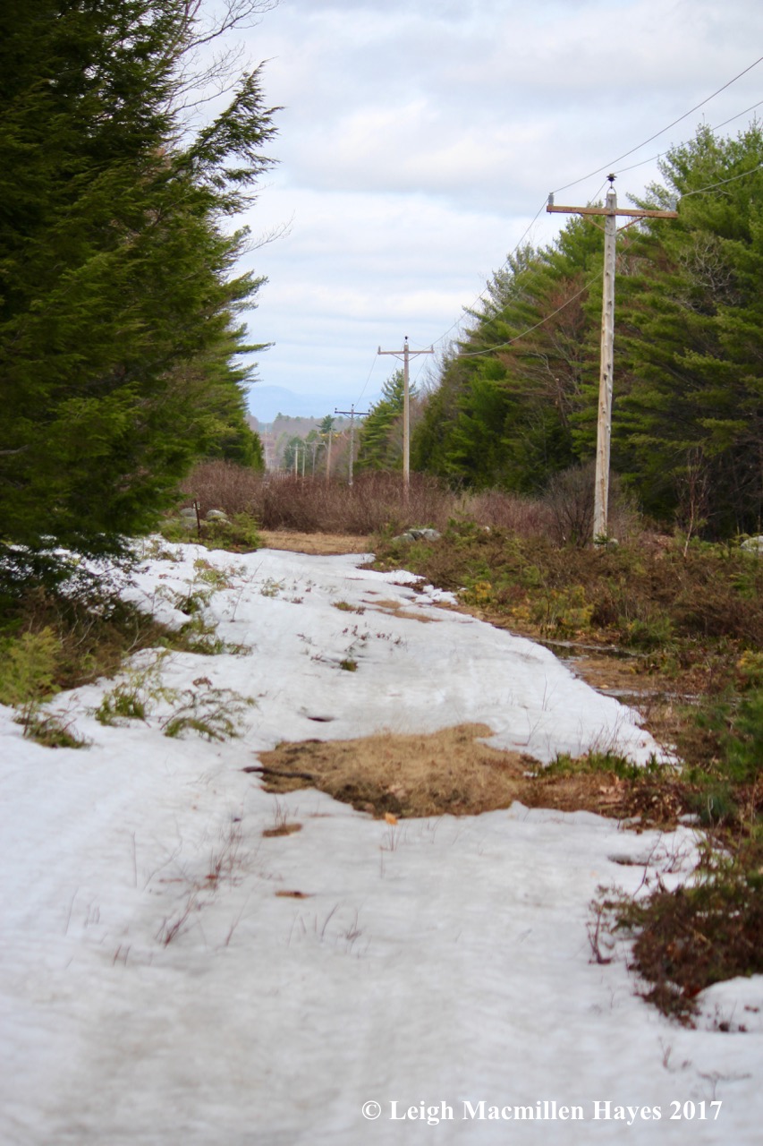 v-snow on trail