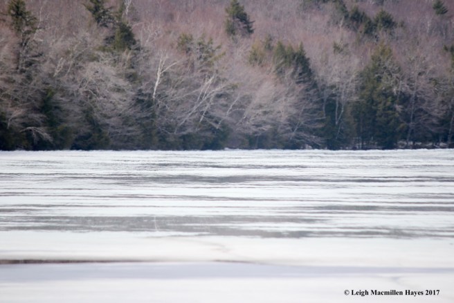 w-shimmering heat of the day