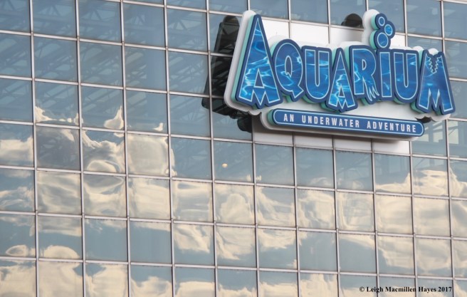 c-aquarium sign