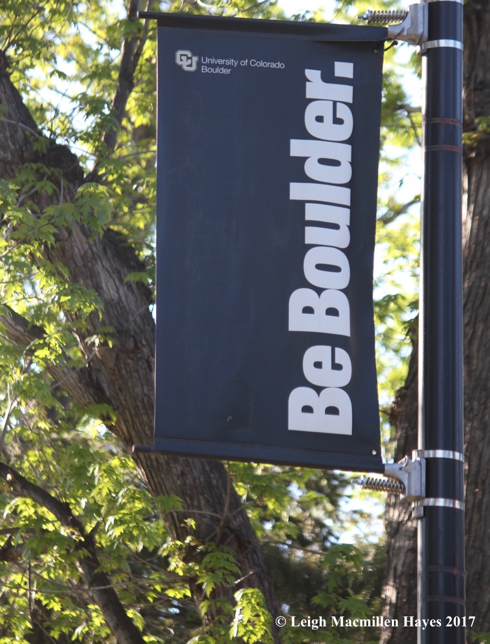 c-be boulder sign