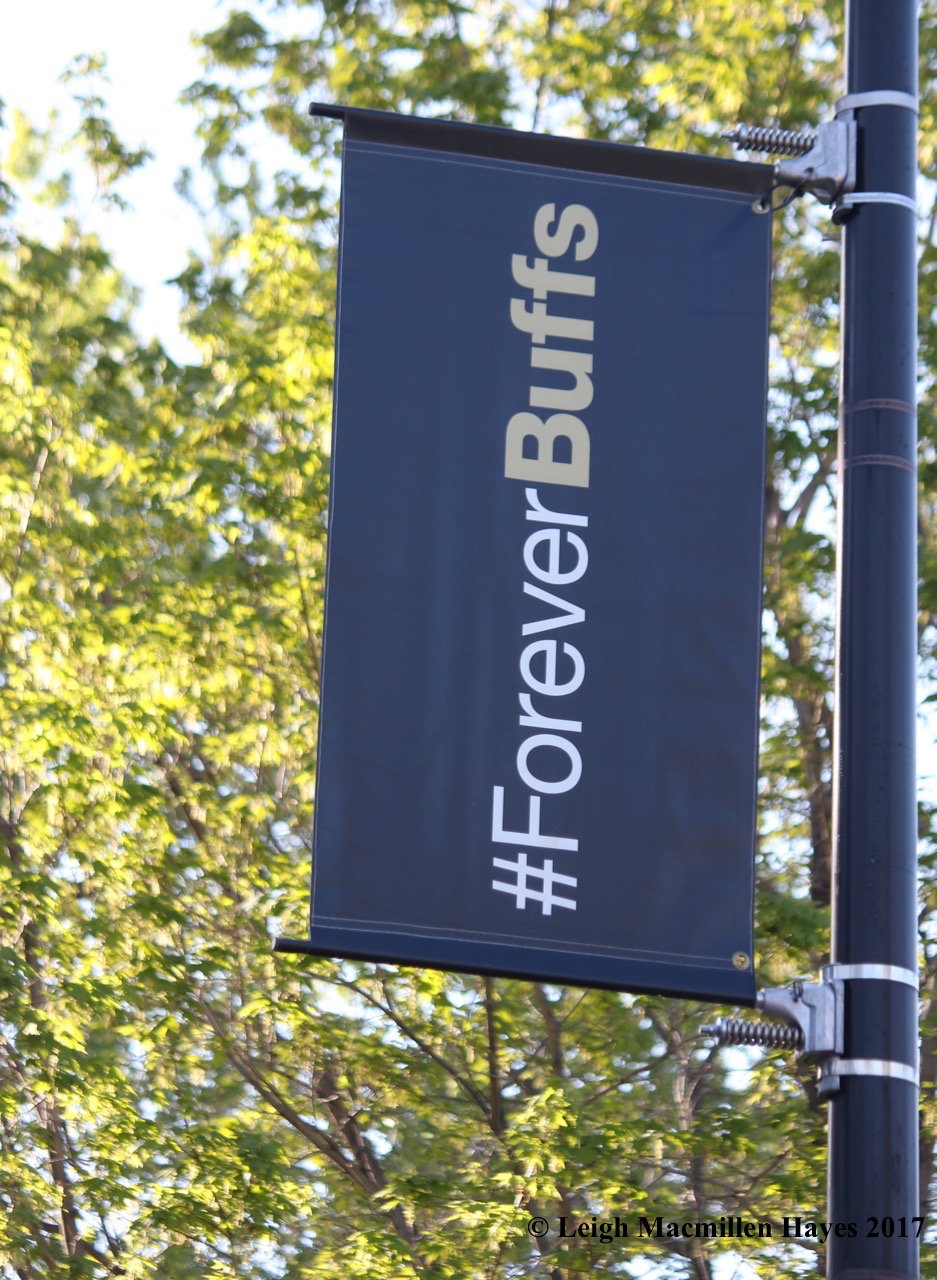 c-forever buffs sign