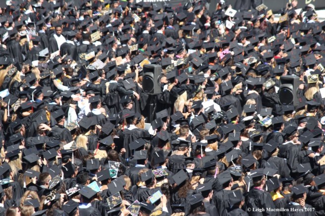 c-where's waldo? he's here!