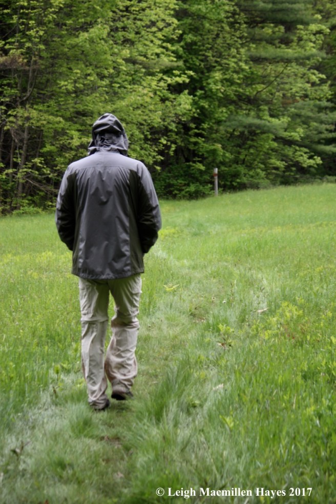 p-crossing the field