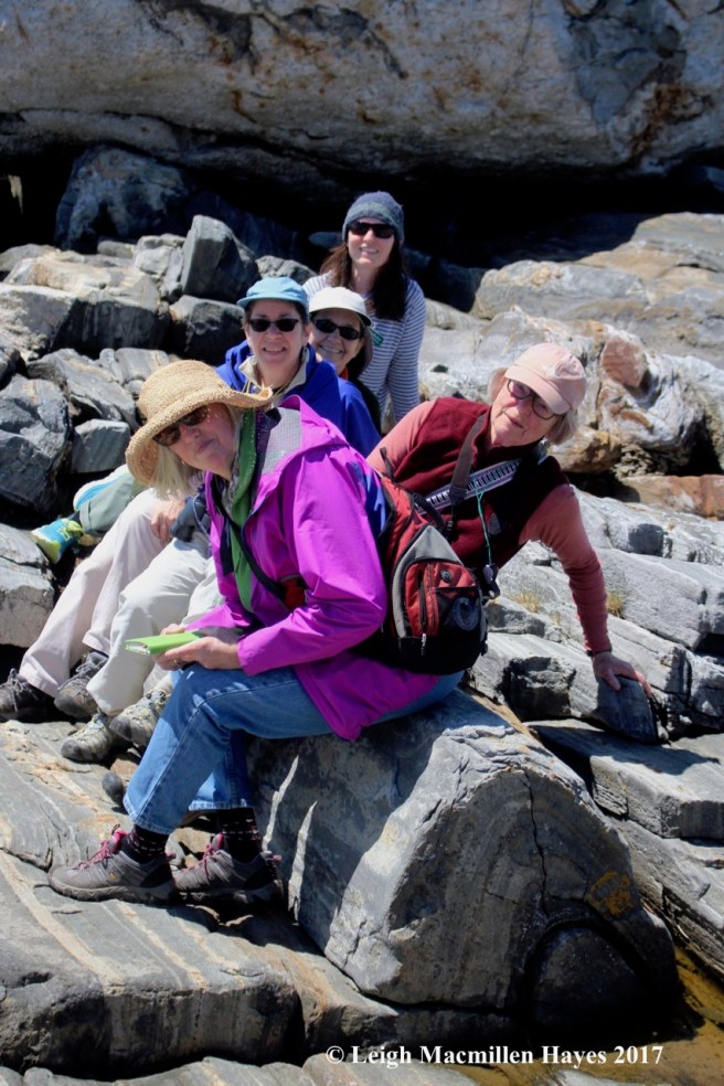 p12-everyone on fold