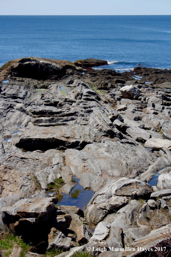 p4--do you see the fold?