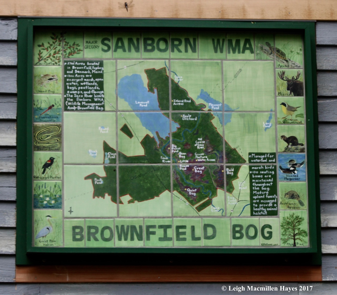 b-Kathy's sign up close