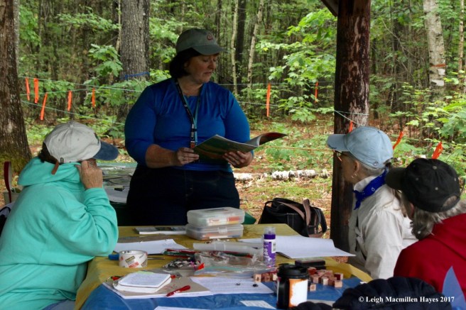 c-Anita reading to us
